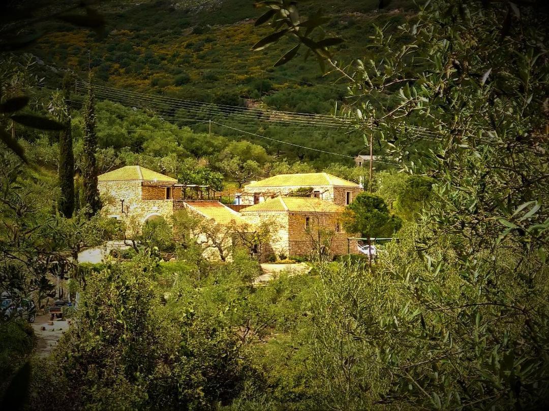 Tsivouli Accommodation Λιθακιά Εξωτερικό φωτογραφία