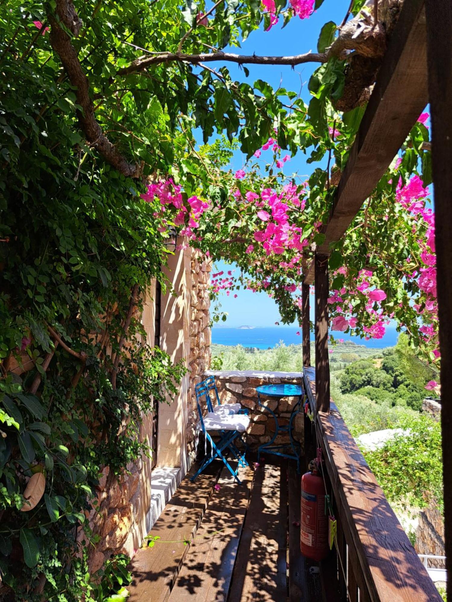 Tsivouli Accommodation Λιθακιά Εξωτερικό φωτογραφία