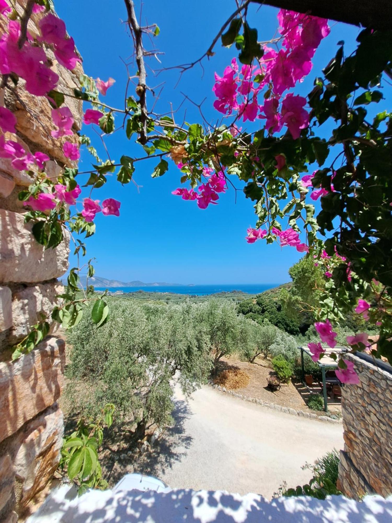 Tsivouli Accommodation Λιθακιά Εξωτερικό φωτογραφία